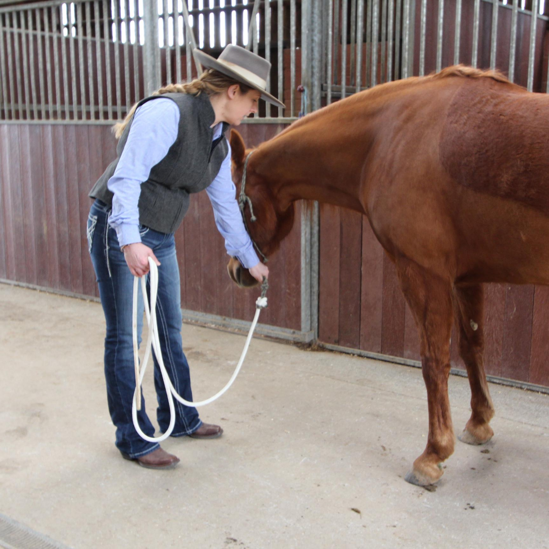 Hinds/fronts while standing on a mark
